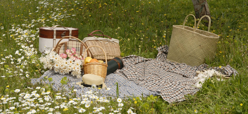 Picnic,On,Meadow,And,Daisy,Flowers
